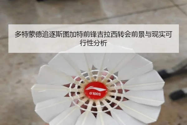 多特蒙德追逐斯图加特前锋吉拉西转会前景与现实可行性分析